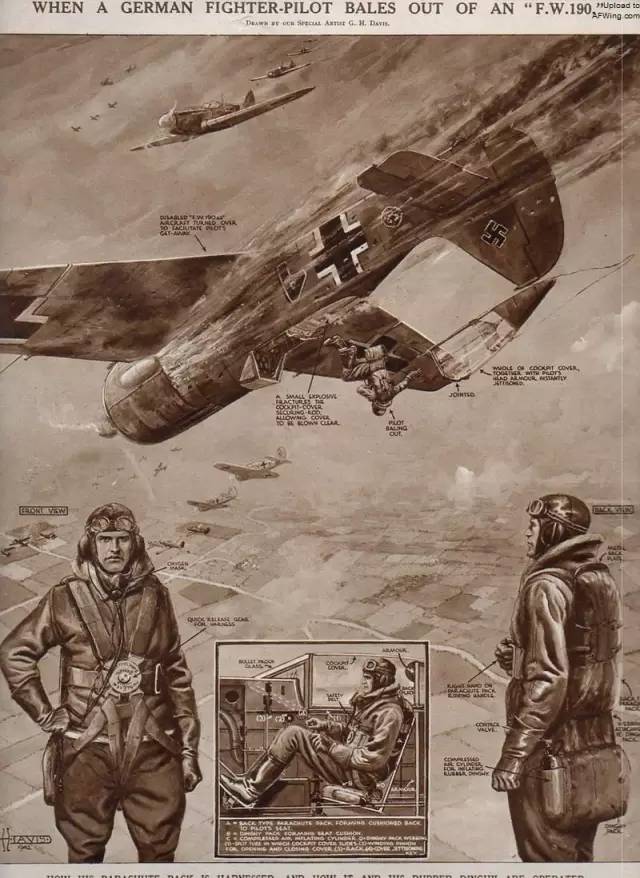 16f261e9eec148948ead096dc8d87954 (2).jpeg